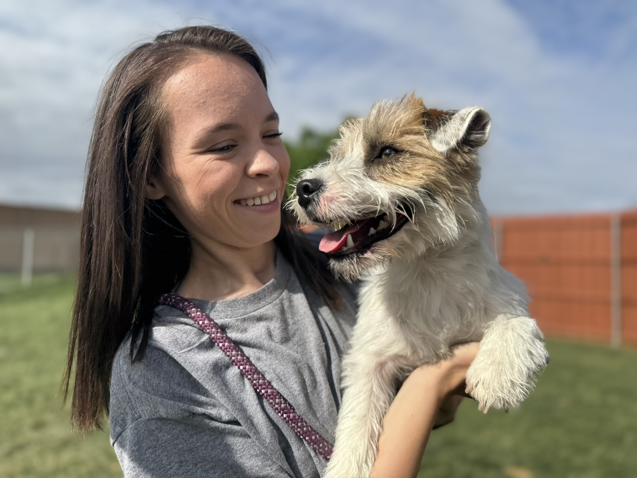 Amarillo Dog Boarding Daycare Enrichment and Grooming