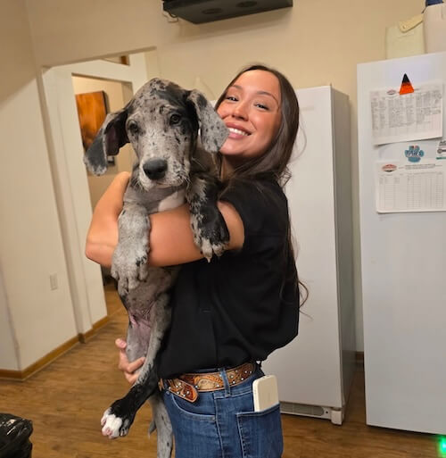 Dr. Lauren Gutierrez holding a Great Dane puppy at the clinic — Amarillo, TX
