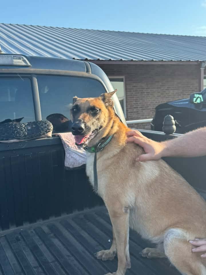 Callie Robbins, Swann Animal Clinic patient