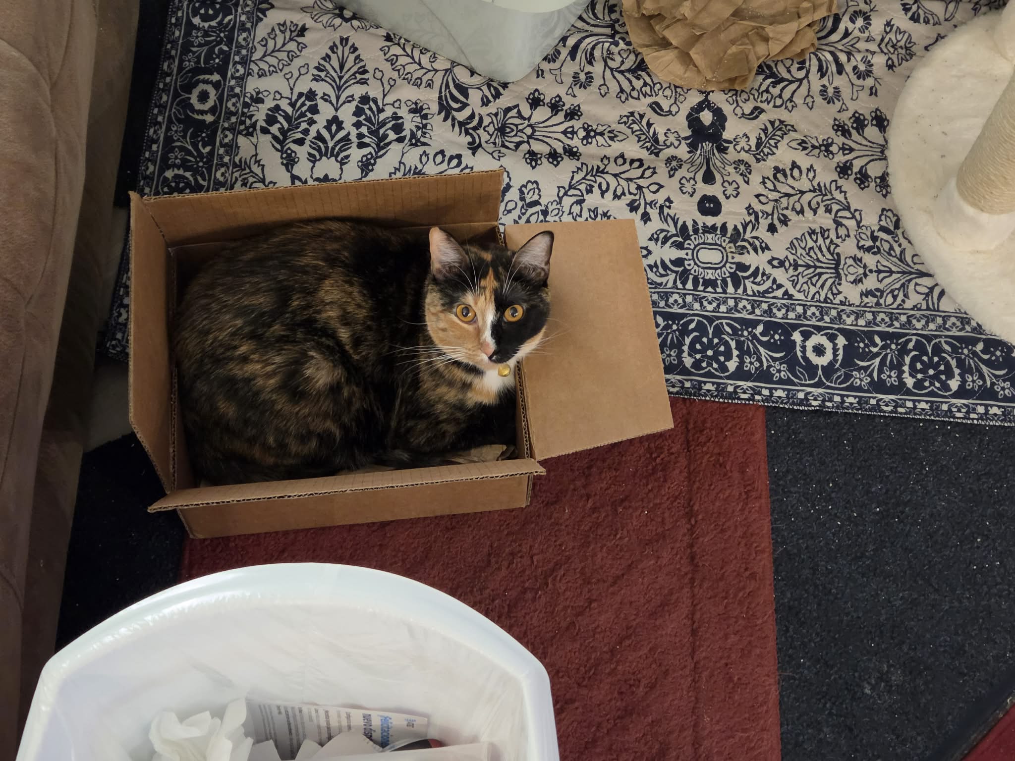 Pepper Anne Alexander