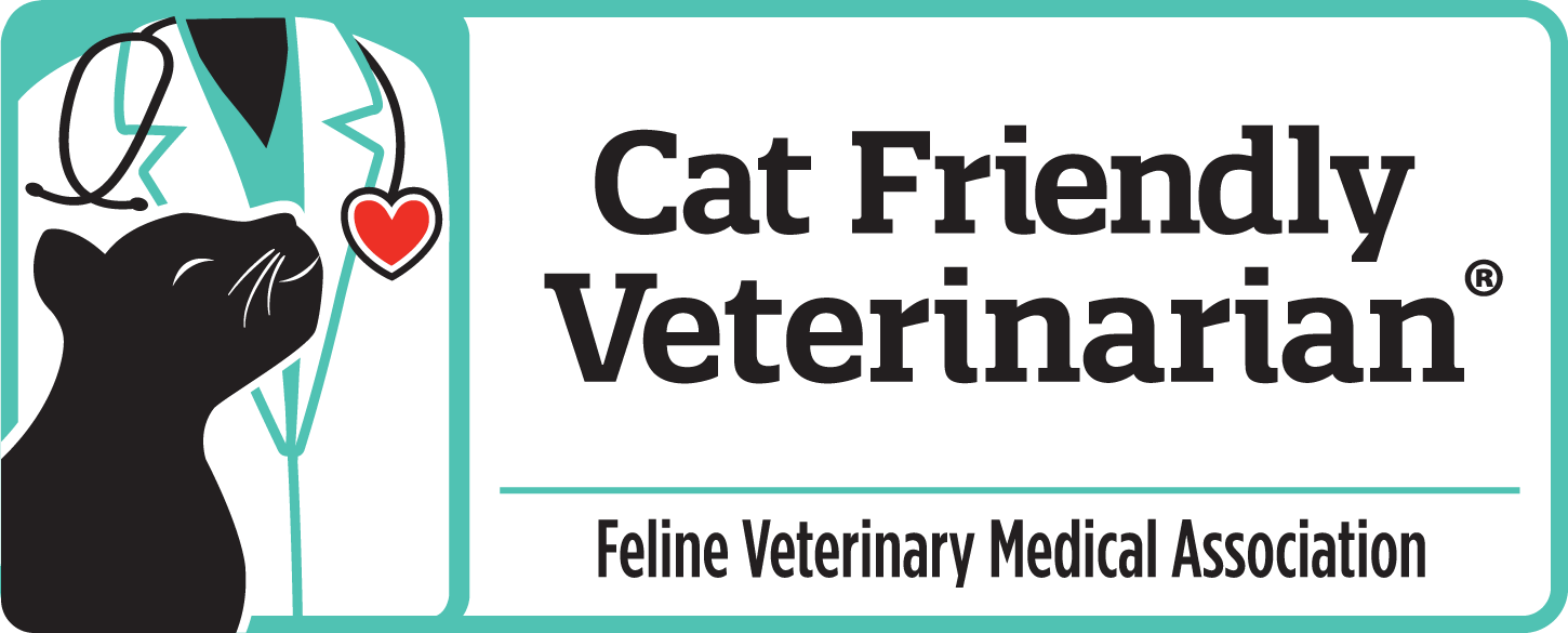 Amarillo Cat Veterinarian 