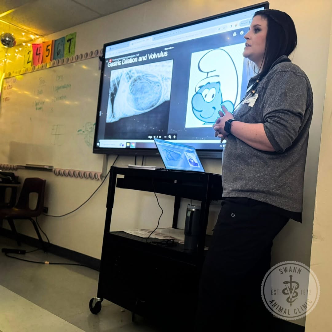 Swann Animal Clinic Heritage Enevoldsen Career Day Crocket Middle School