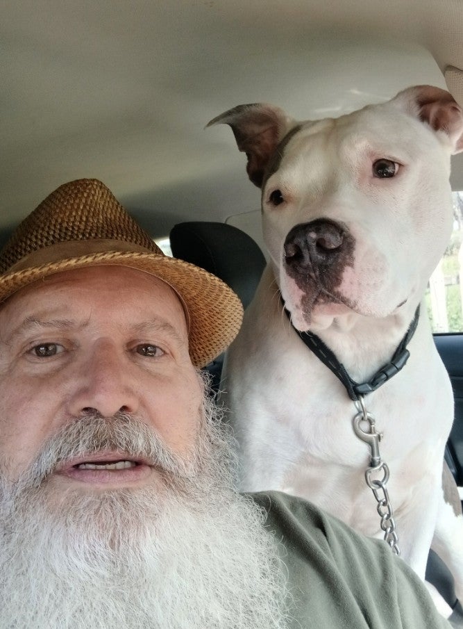 Hunter the pitbull Amarillo TX Swann Animal Clinic