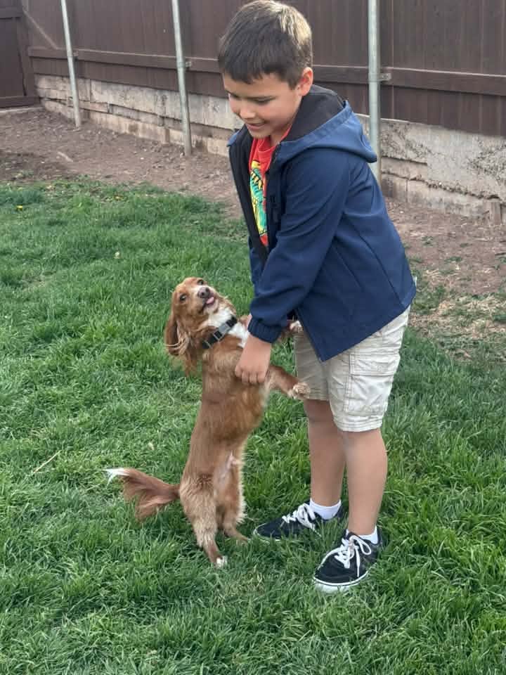Utah Montiel, Swann Animal Clinic Patient