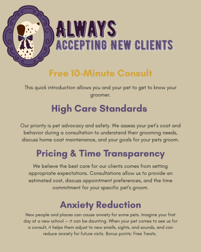 Amarillo dog grooming and groomer free consultation