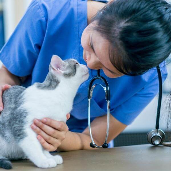 Swann-Animal-Clinic