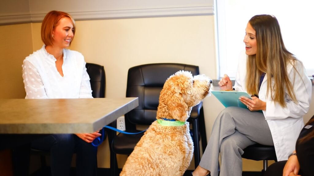 Swann-animal-clinic-redesign-images-22