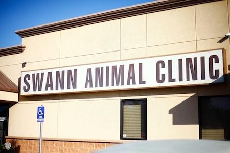[practice:city] Veterinarian