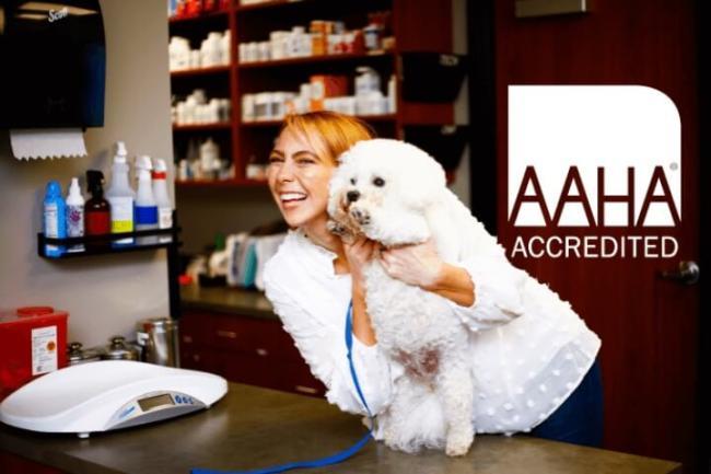 [practice:city] Veterinary Clinic