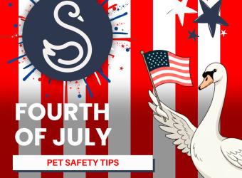 250 Years of Freedom, is your pet ready to celebrate the Fourth of July, America?